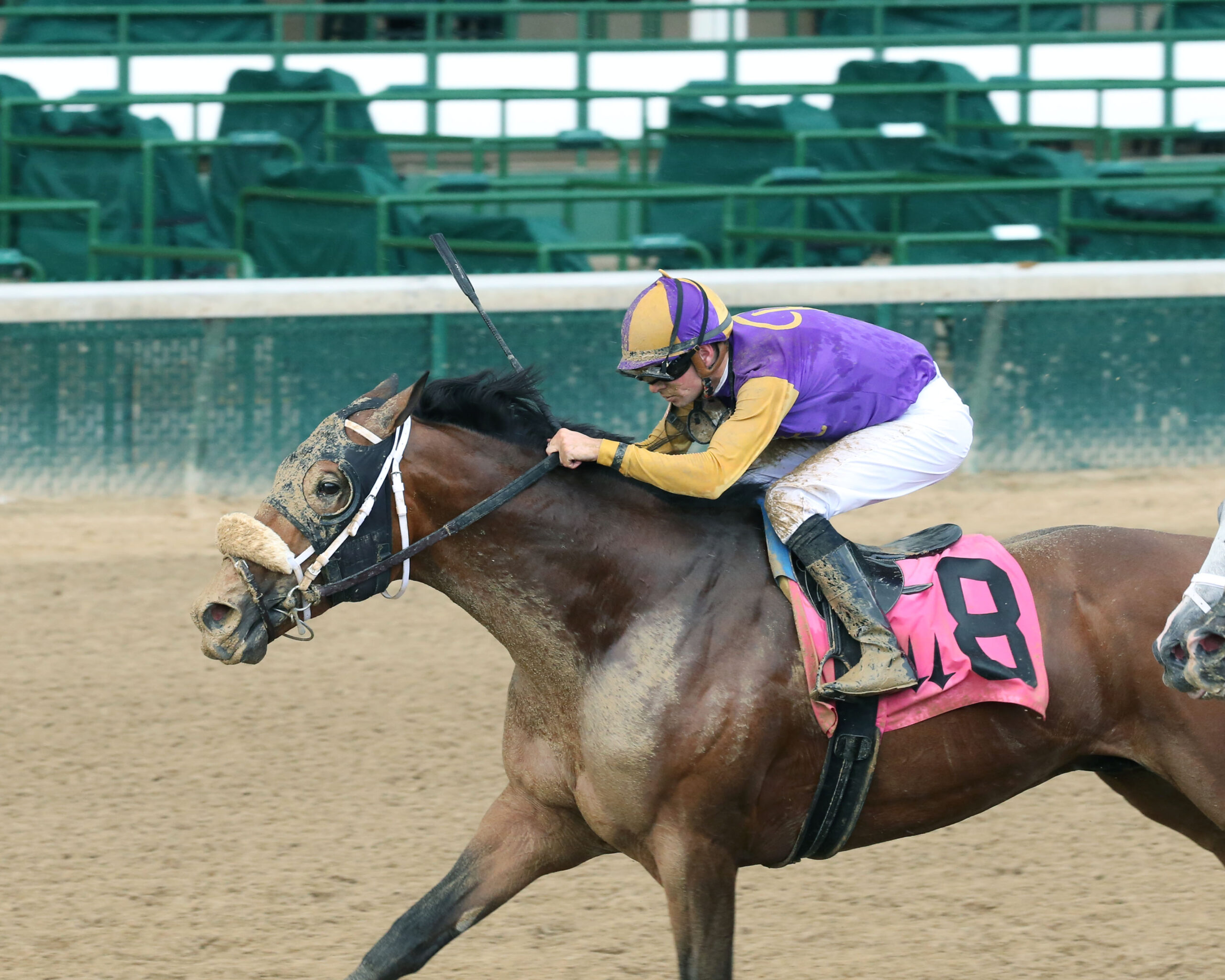 Owendale Headlines New Orleans Classic Field Racing Dudes