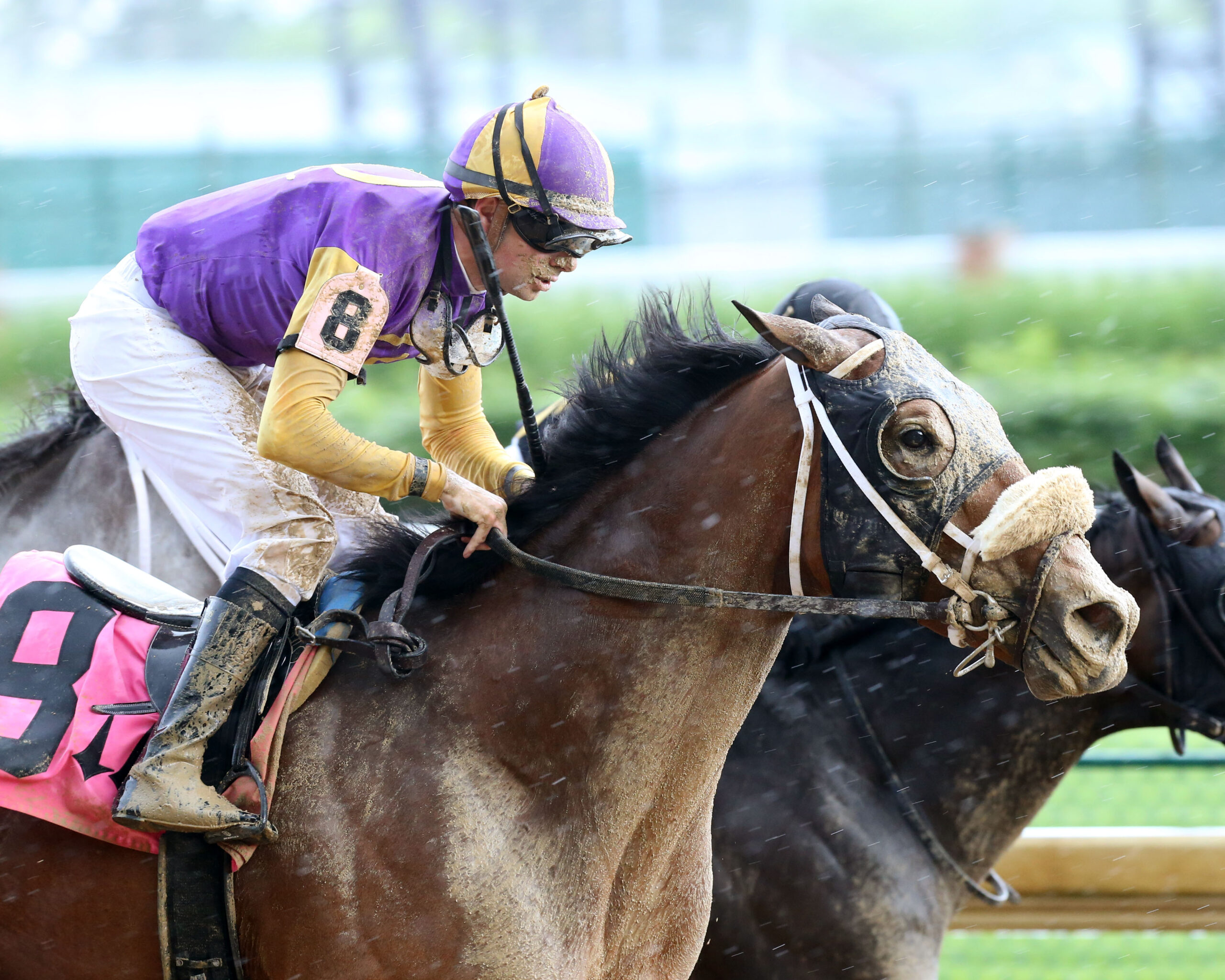 Owendale Rains from the Clouds to Win Blame