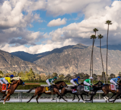 Santa Anita Autumn Stakes Schedule To Include 24 Stakes Beginning September 19 Through October 25