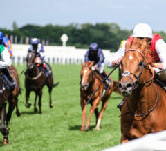 Horse Racing And UK Free Bet Offers
