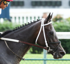 Midnight Bisou Returns To Defend Title In Personal Ensign