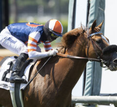Red King’s Perfectly-Timed Move Captures San Juan Capistrano