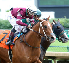 Oaklawn Park Race Of The Day Preview, Free Picks, And Longshots: January 2, 2022