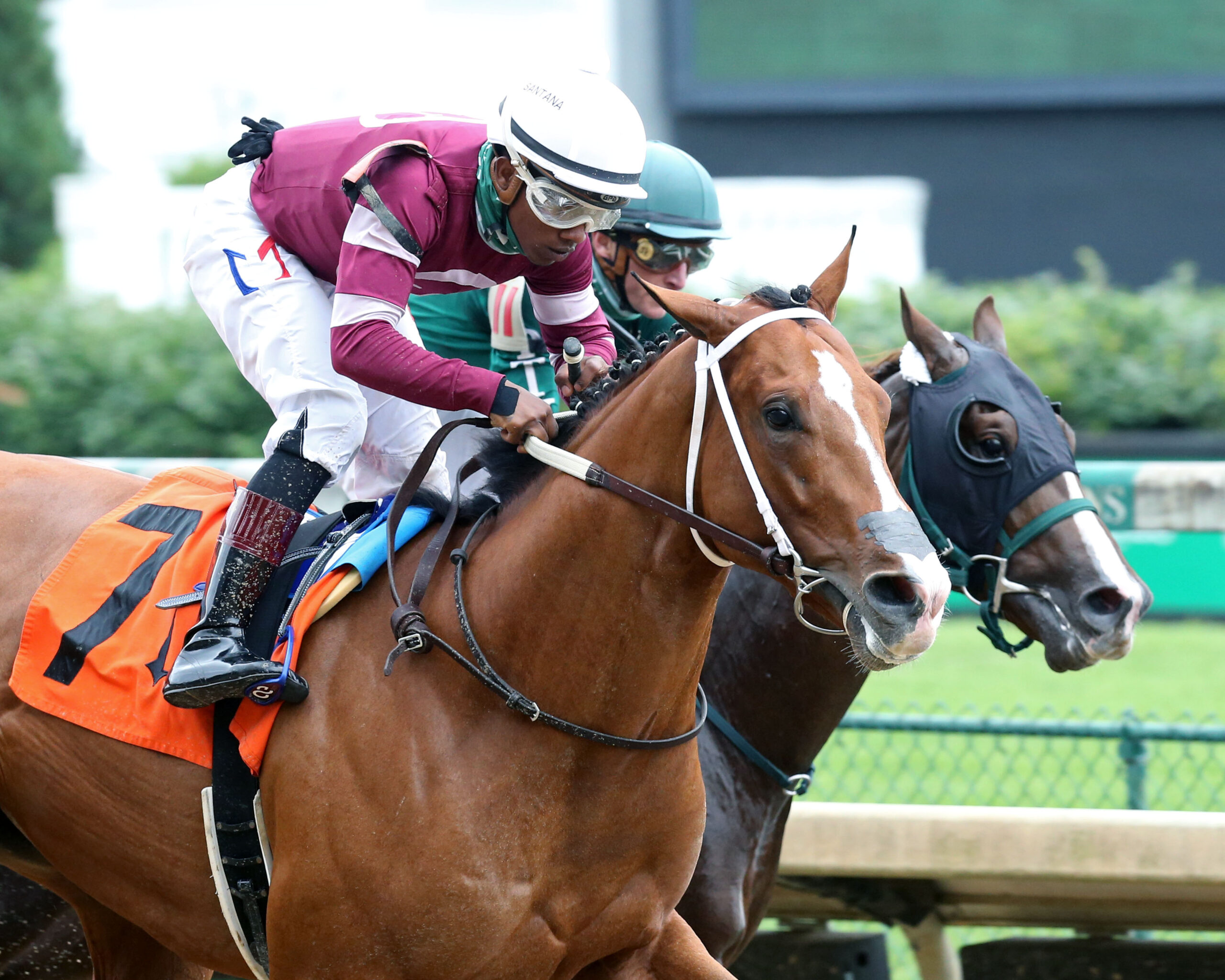 Oaklawn Park Race Of The Day Preview, Free Picks, And Longshots