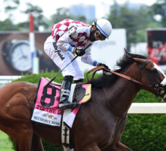 Kentucky Derby Contenders Pedigree Analysis: Tiz the Law