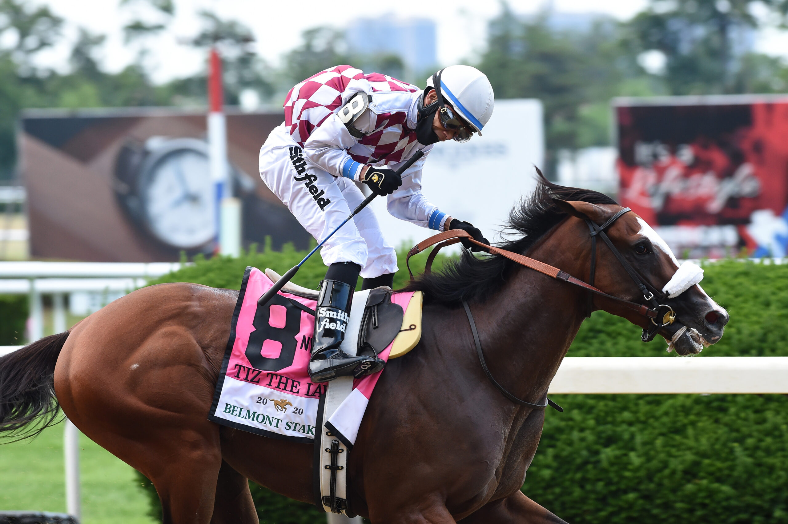 Tiz the Law Breezes for Travers - Racing Dudes