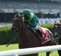 Dayatthespa Preview: Classic Lady Hoping to Turn the Tables