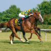 Racing Dudes Premium Picks CRUSH HUGE Trifecta Play at Delaware Park 10/3/24