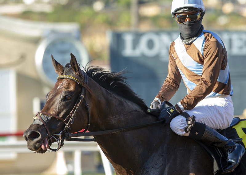 Jo Jo Air Narrowly Takes Daisycutter