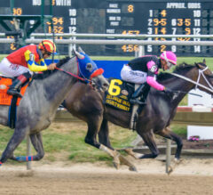 Project Whiskey lights up tote board with Delaware Oaks score