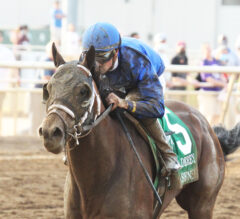Shared Sense Completes Cox-Geroux Double in Indiana Derby