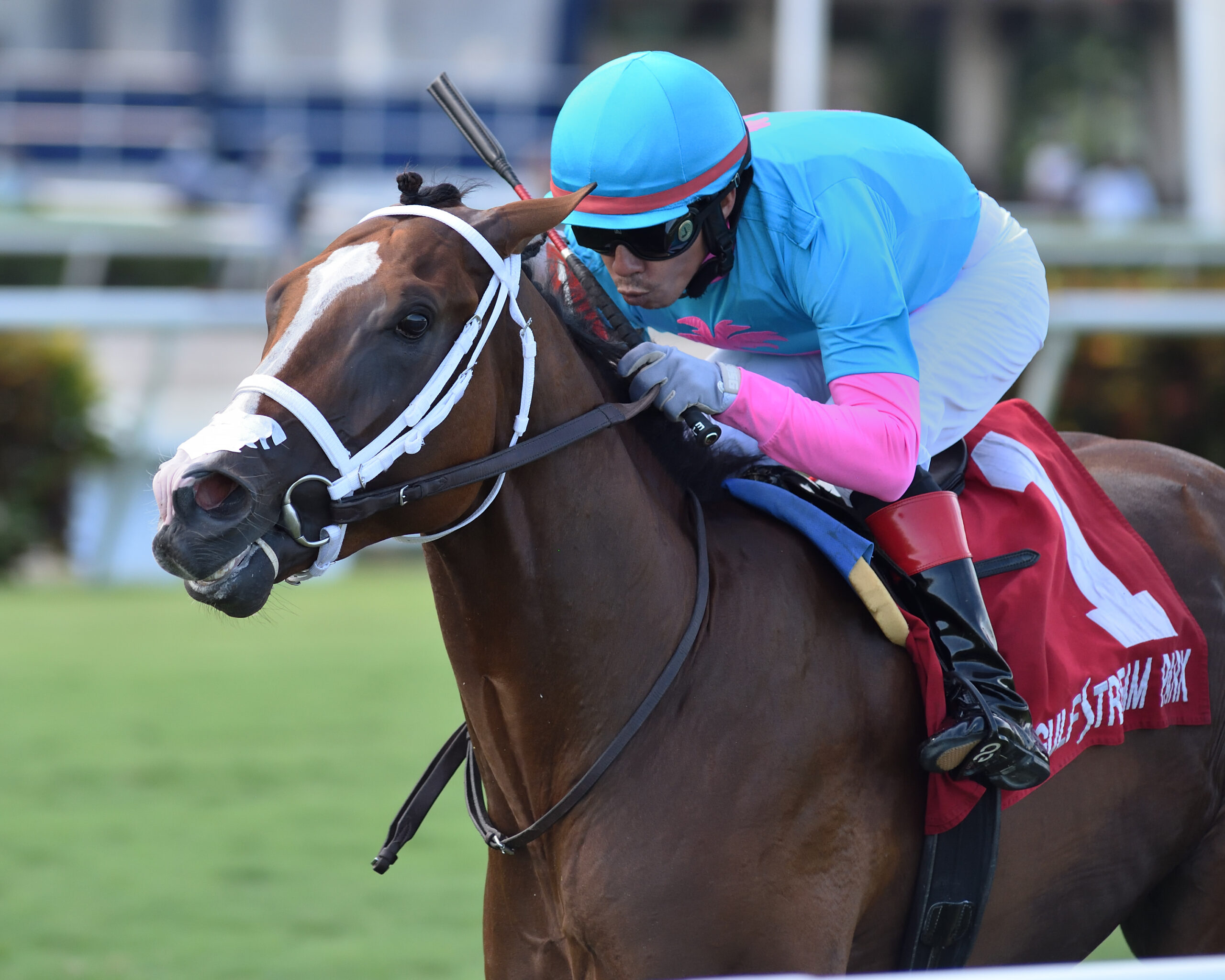 Hot Blooded & Spanish Loveaffair Win Proud Man & Sharp Susan