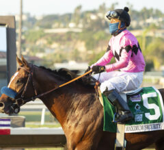 Maximum Security Leaves No Doubt in Pacific Classic