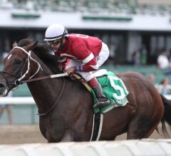 Pneumatic Preakness-Bound After Pegasus Victory