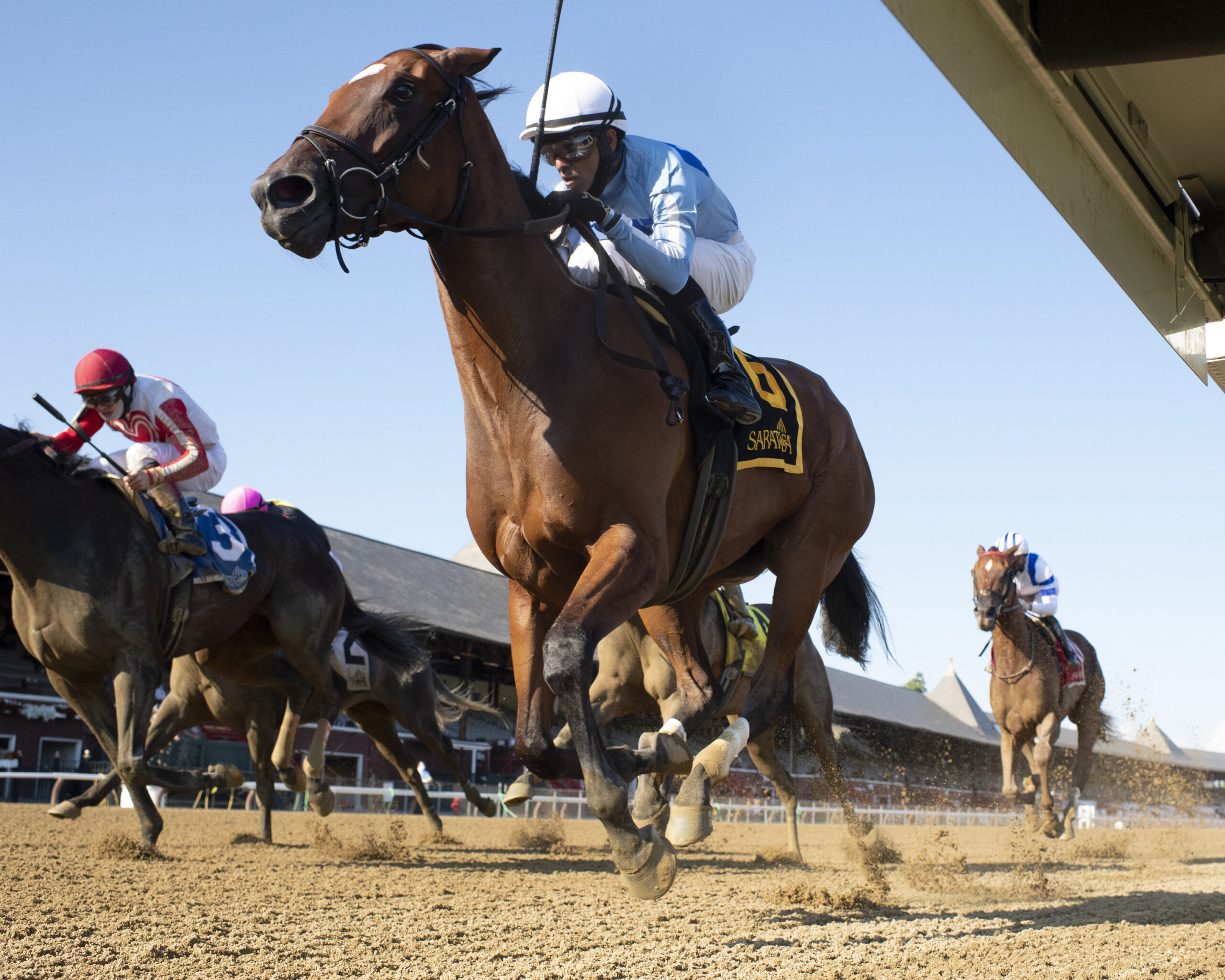 Times Union Saratoga Picks 30 - 878at0j