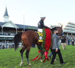 The Rise of Micro-Ownership: How Fans Buy Shares in Racehorses