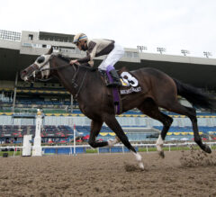 Canadian Horse of the Year Mighty Heart Headlines Dominion Day