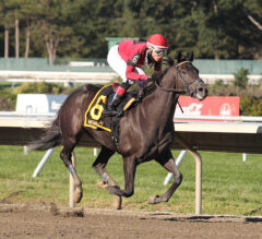 Pirate’s Punch Powers Home in Salvator Mile