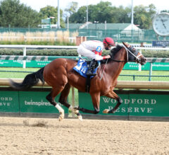 Jerome Preview: Let the Kentucky Derby Trail Begin!