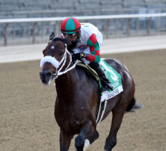 Cigar Mile Preview: Firenze Fire Headlines New York’s Last Grade 1 of 2020