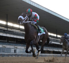 Vosburgh Preview: Firenze Fire Aims For Repeat