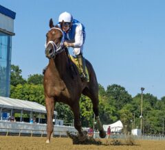 Happy Saver Preakness-Bound After Federico Tesio Win