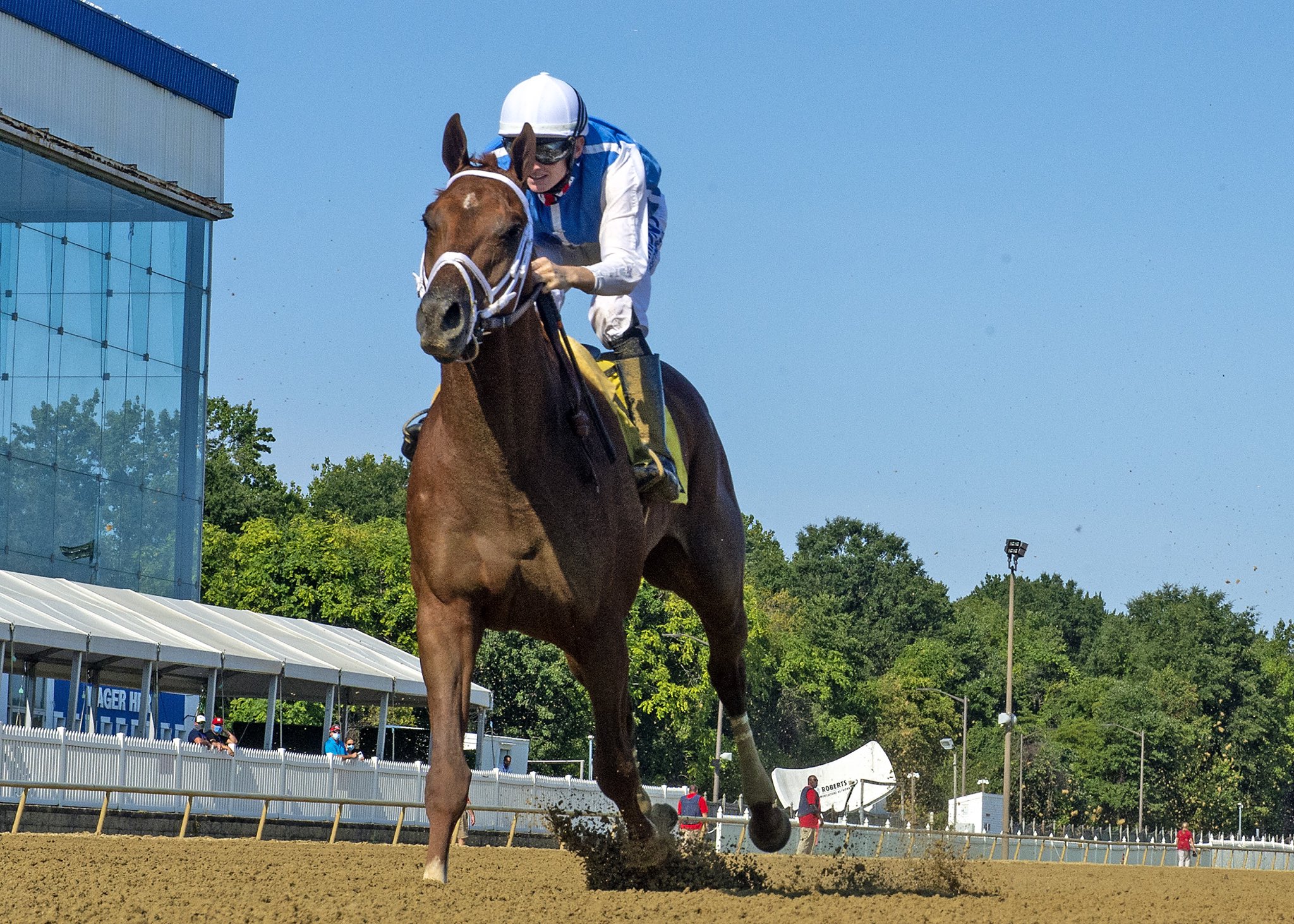 Jockey Club Gold Cup Preview Happy Saver Hopes to Remain Undefeated