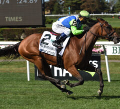Magic Attitude Faces Five Other Graded Stakes Winners in Sheepshead Bay