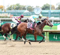 2021 Falls City Stakes Preview, Picks, And Longshots