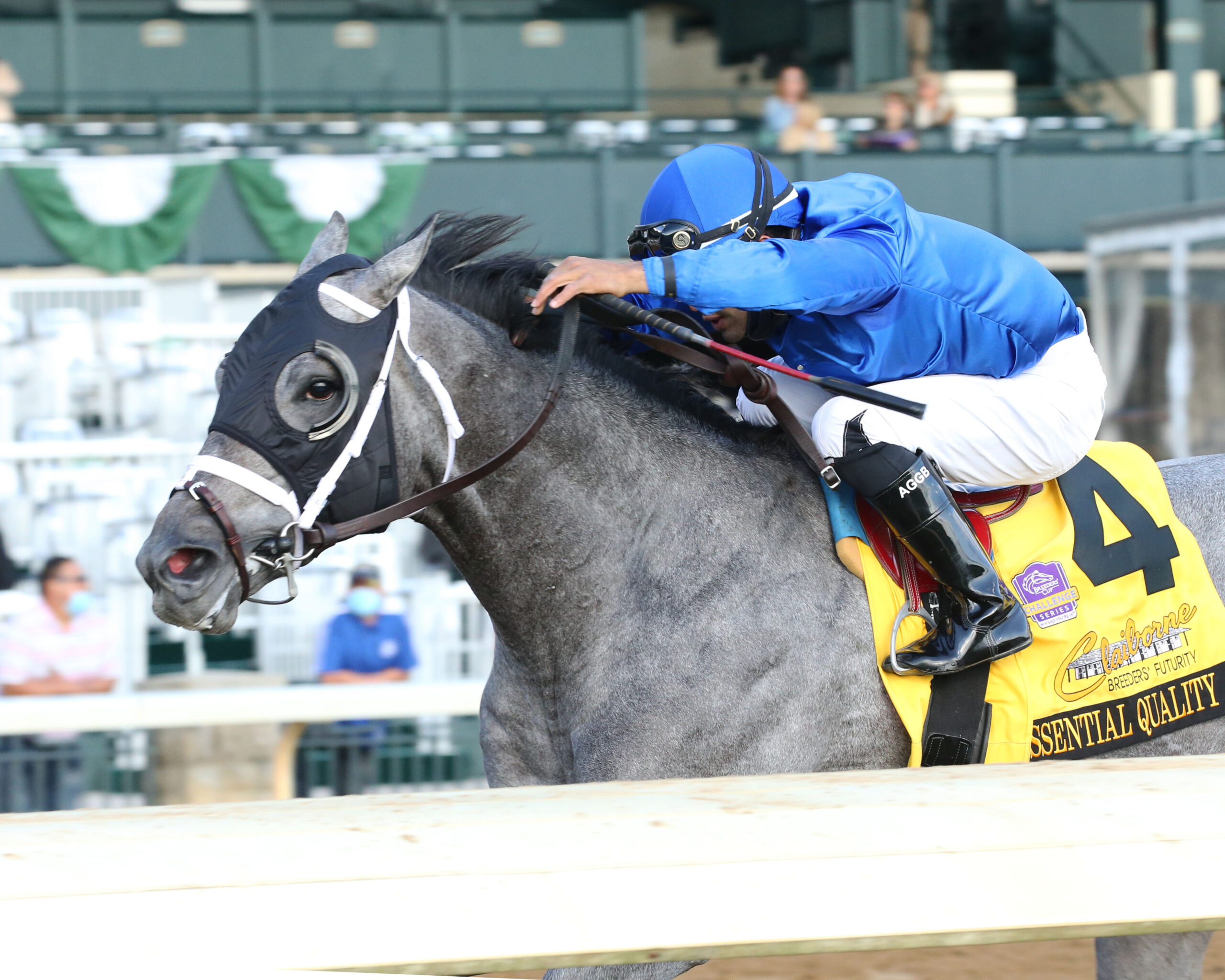 Essential Quality Dominates Breeders' Futurity