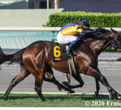Galilean Surges Late to Win California Flag