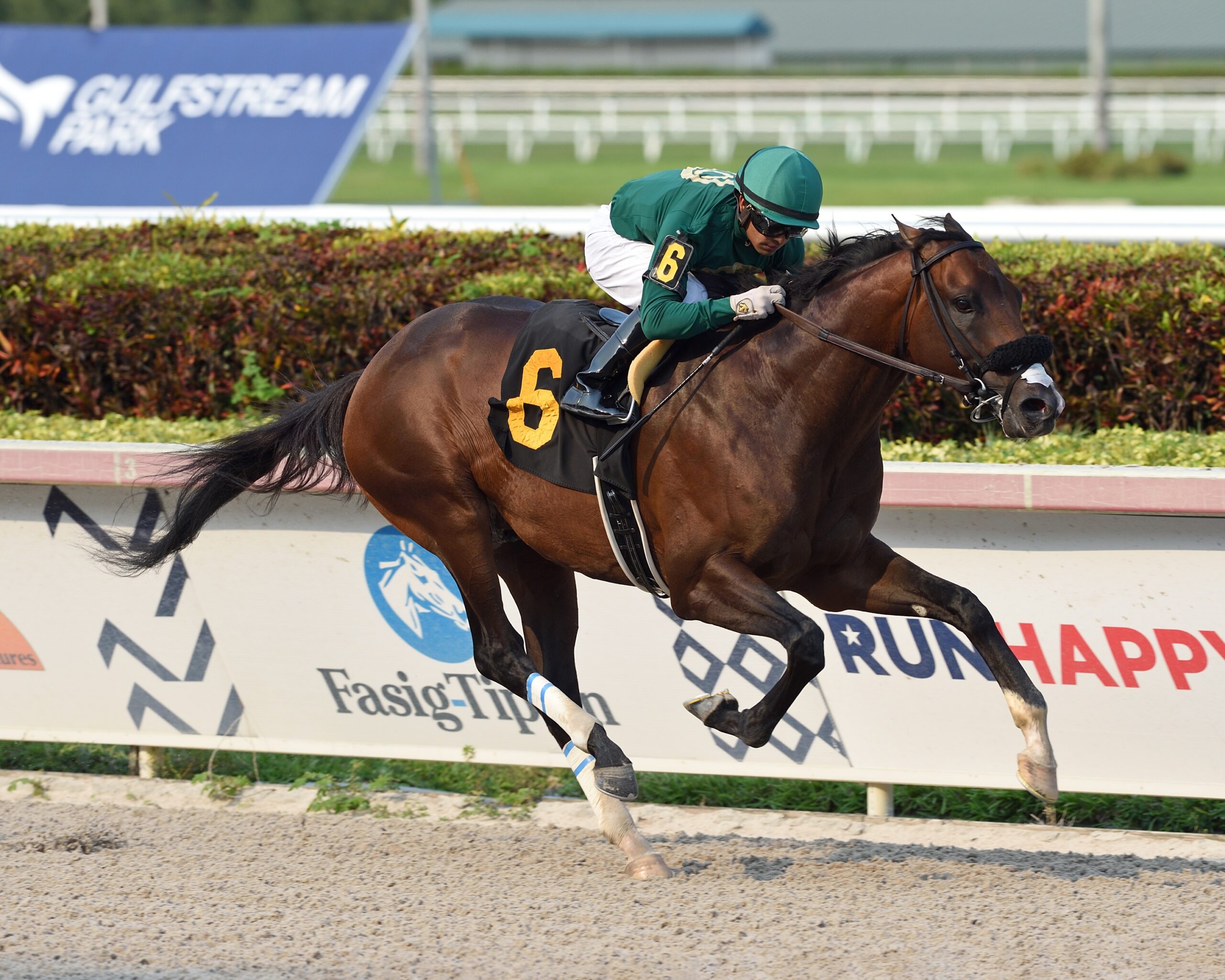 Dubai Thoroughbred Horse Racing