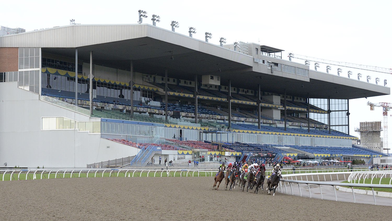 Woodbine King's Plate Stakes Horse Racing Picks and Draw Reactions