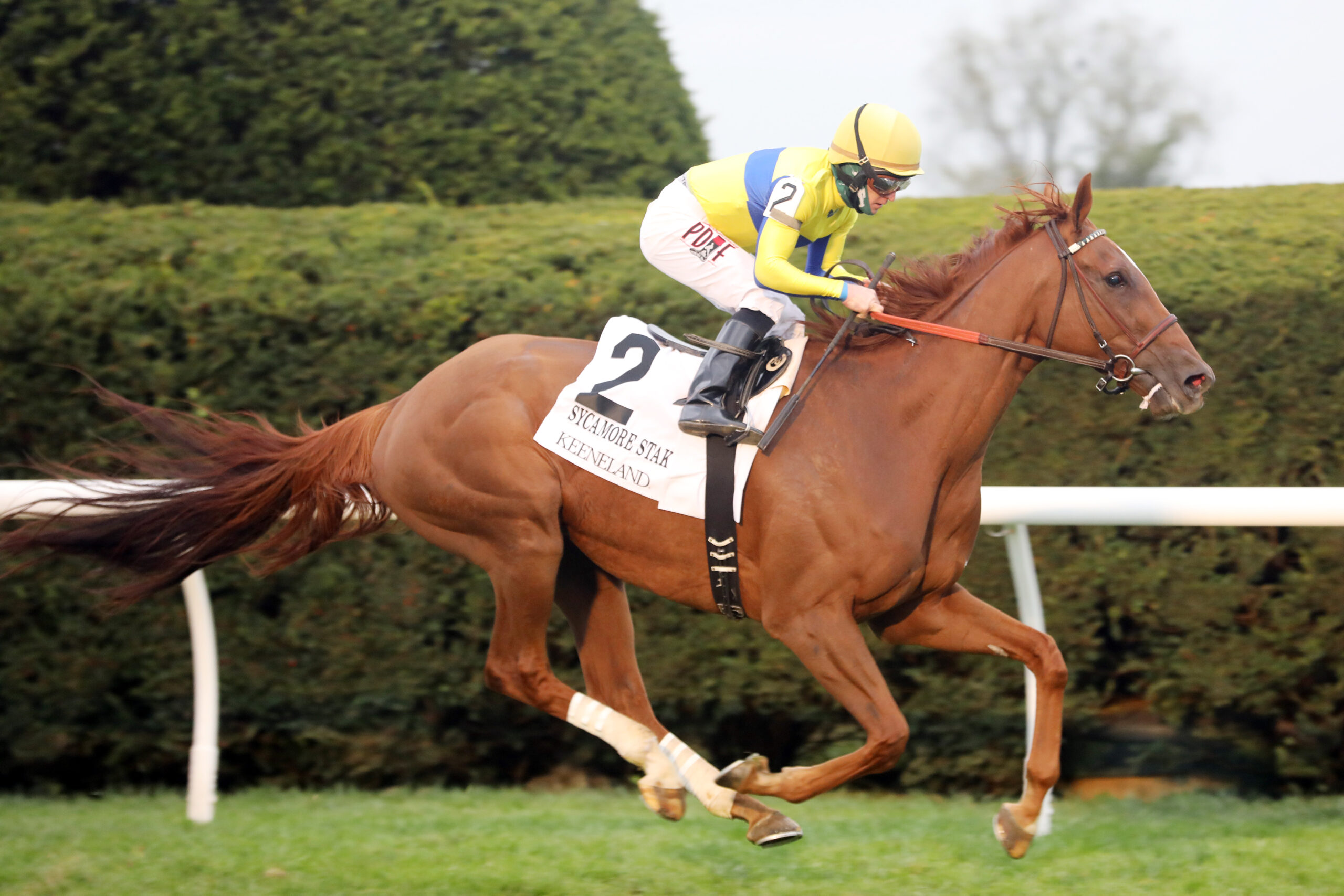 Keeneland Battaglia Picks - 8nacbh2