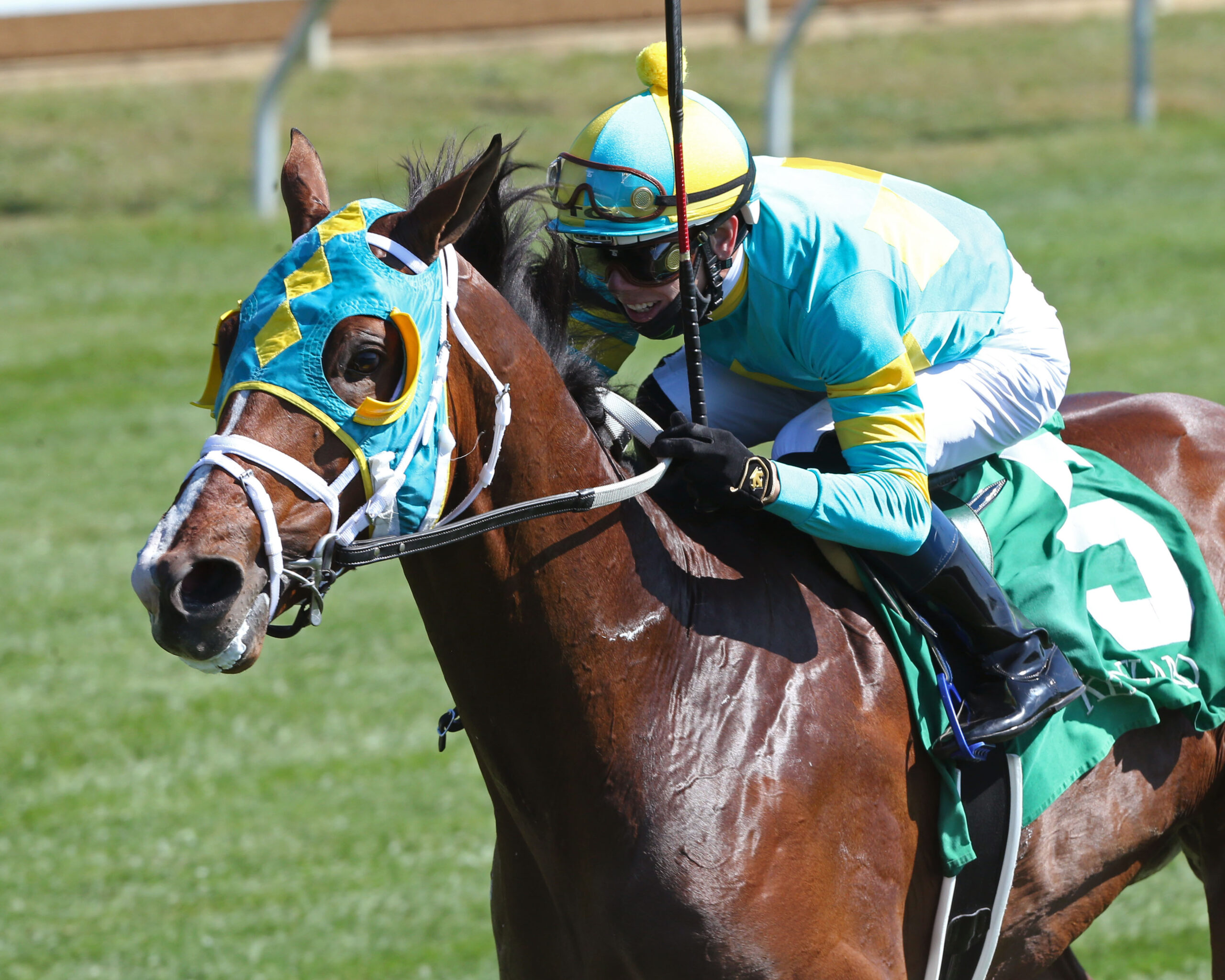 Saratoga Raceway Picks - 544akwp