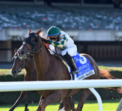 Channel Maker Wins Second Title in Turf Classic