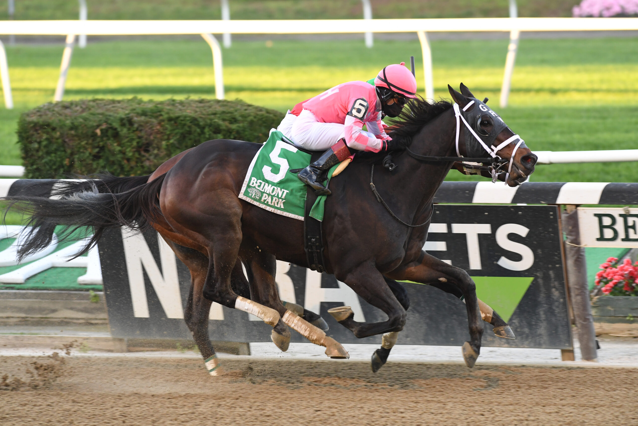 Bold Ruler Way Majestic Dunhill Prevails in Bold Ruler