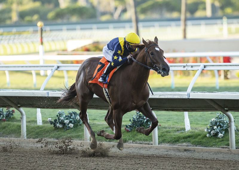 Racing Dudes Three Stars Of The Week: Chestnut Juvies Rock The West Coast