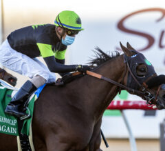 Count Again Flies Last to First in Seabiscuit