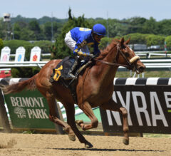 Market Alert Looks for Stakes Breakthrough in NYSSS Times Square