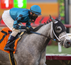 Mo See Cal Returns Smartly in Betty Grable at Del Mar