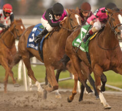 Casse and Hernandez sweep Saturday’s graded stakes at Woodbine, including Autumn