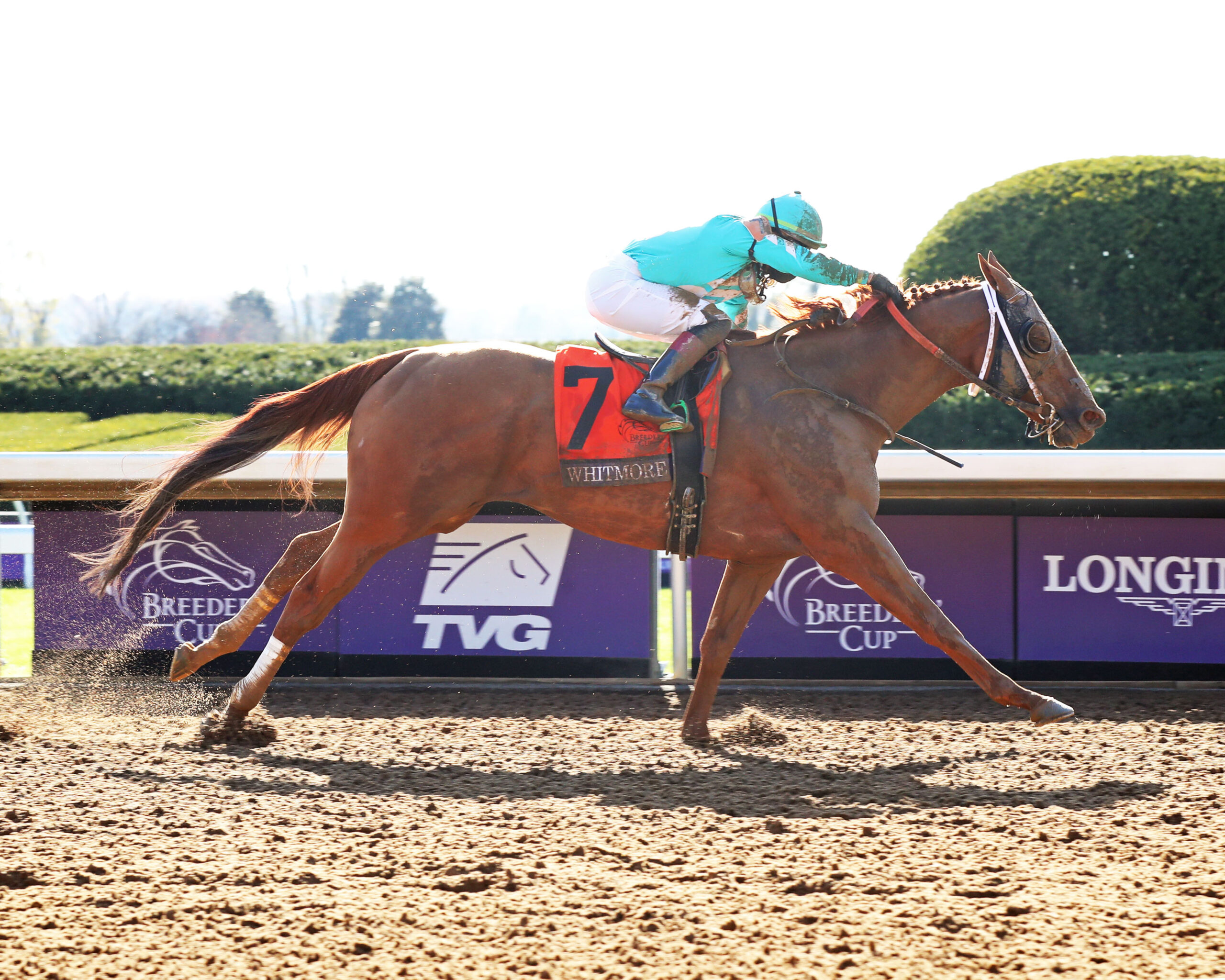 Churchill Downs Racing Dudes - d69gujp