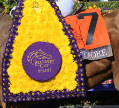 What To Expect From This Year’s Breeders’ Cup