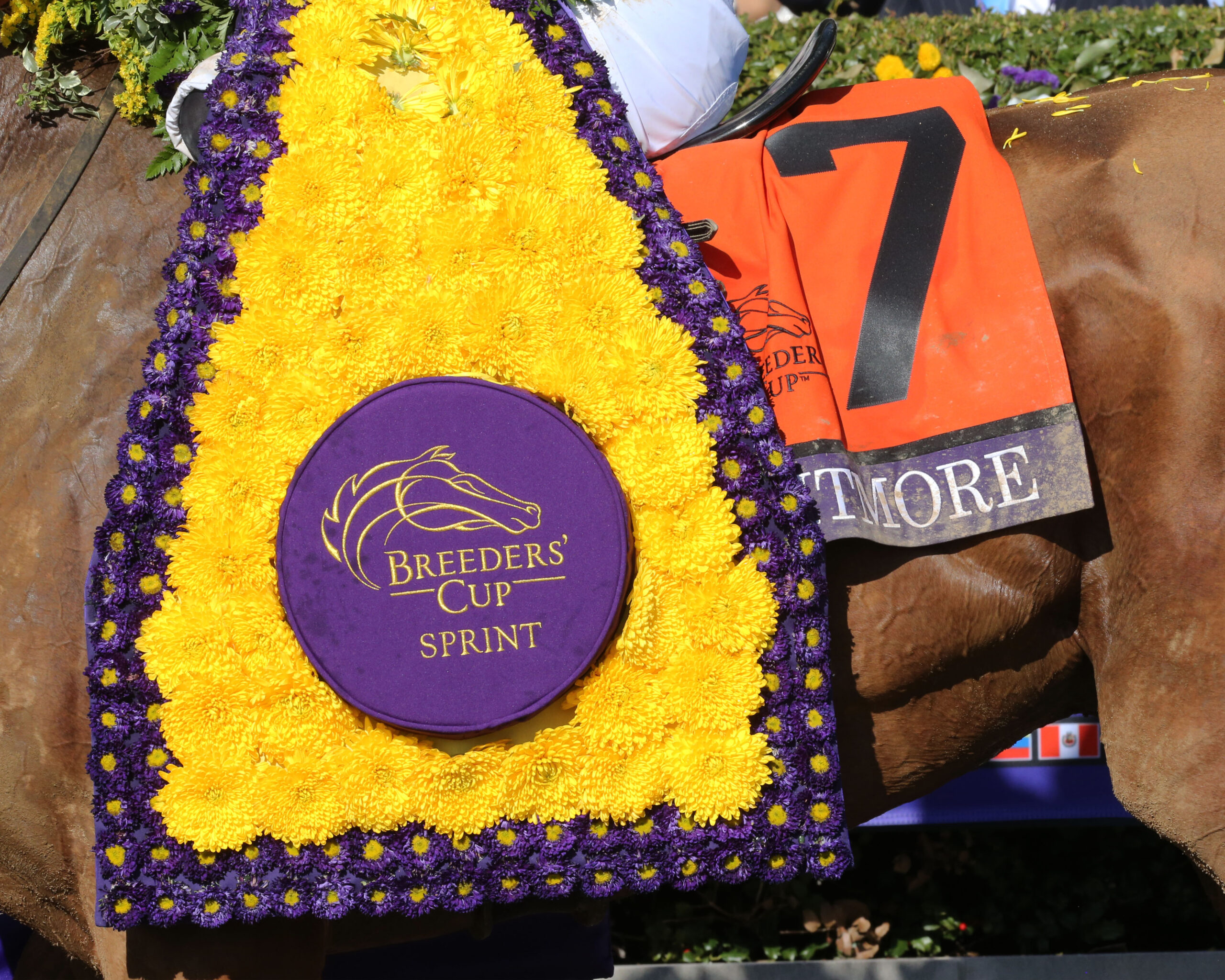 What To Expect From This Year’s Breeders’ Cup - Racing Dudes