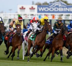 My Dear, Victoria, Alywow Share Saturday Stakes Spotlight At Woodbine