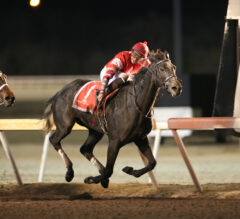Jeweled Princess Takes Rail Trip To Victory In She’s All In