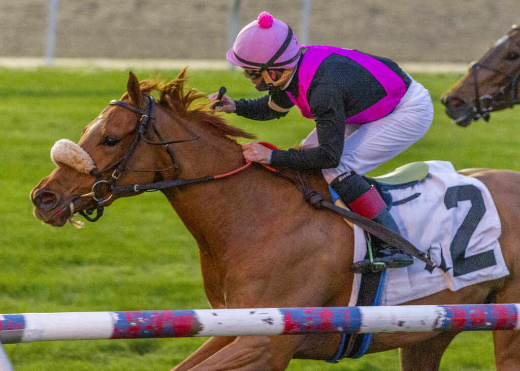 Elle Z Wires Pan Zareta Racing Dudes