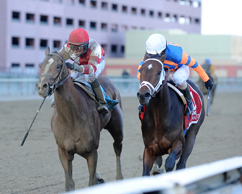 The Remsen's Derby Trail Impact