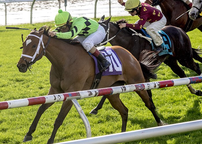 Pan Zareta Preview Defending Champ Play On Back For Seconds